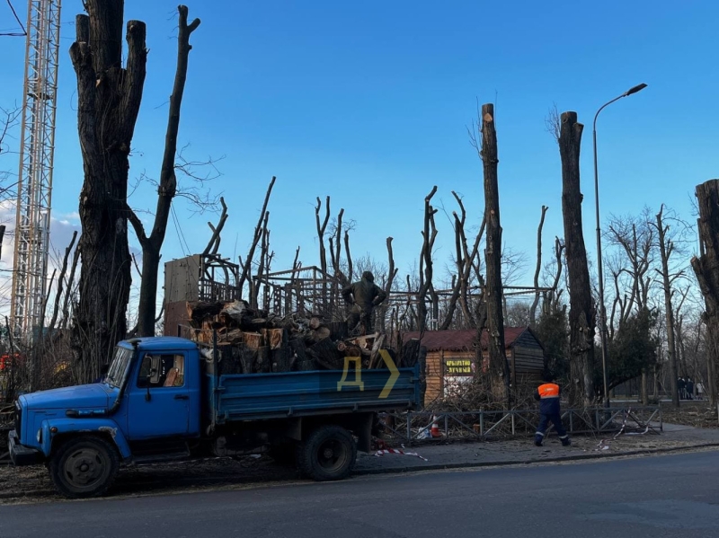 В одесском парке Шевченко «обезглавили» десятки деревьев