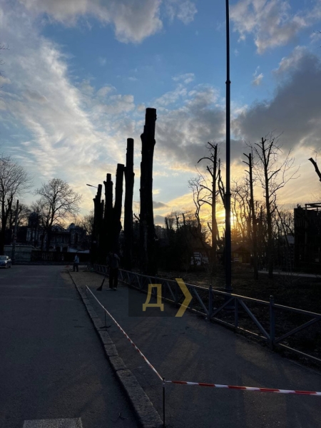 В одесском парке Шевченко «обезглавили» десятки деревьев