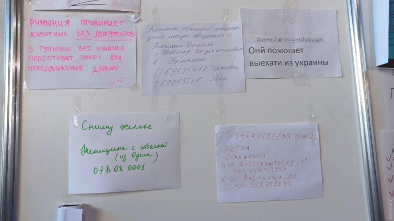 Как принимают украинских беженцев в Молдове: горы гуманитарки, ночлег в опорном госпитале по ковиду и терпение волонтеров