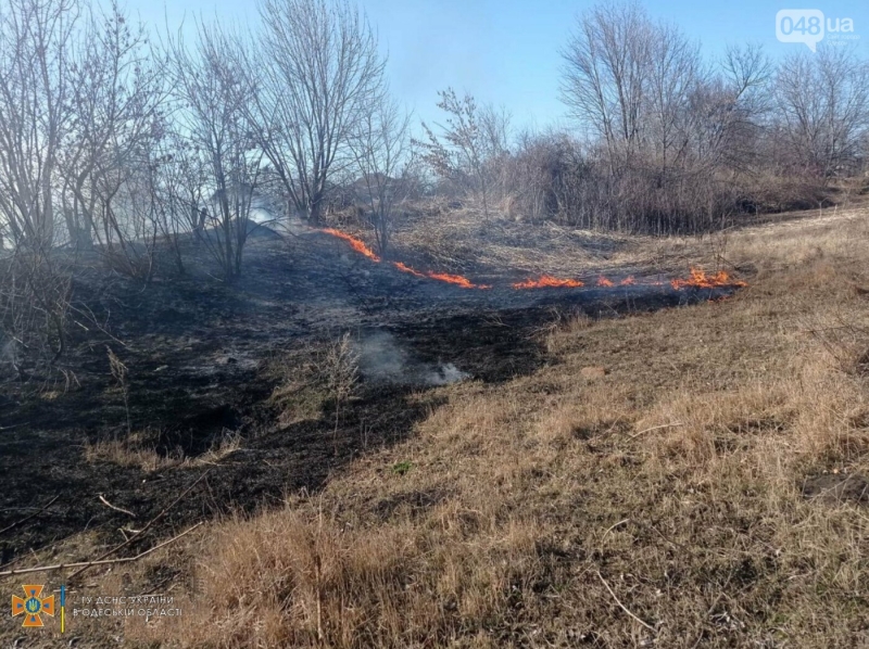 На Одещині палять суху траву: рятувальники загасили 75 пожеж,- ФОТО