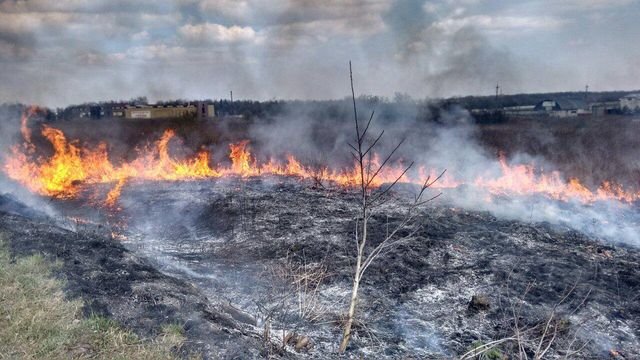 На Одещині спалахнула суха трава: на місці пожежі виявили загиблого чоловіка