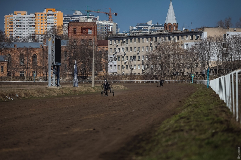 Одесский ипподром: овса осталось на месяц, но тренировки лошадей не отменяли  