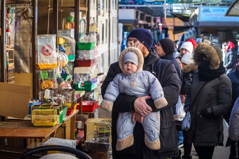 Первый день работы Староконки: щенки и кролики от стресса, спрос на пленку для окон, газовые горелки и самогонные аппараты  