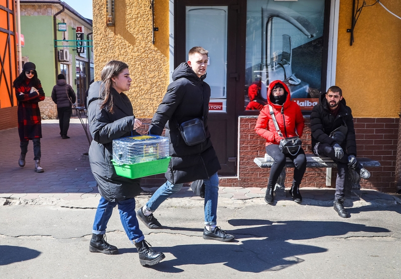 Первый день работы Староконки: щенки и кролики от стресса, спрос на пленку для окон, газовые горелки и самогонные аппараты  