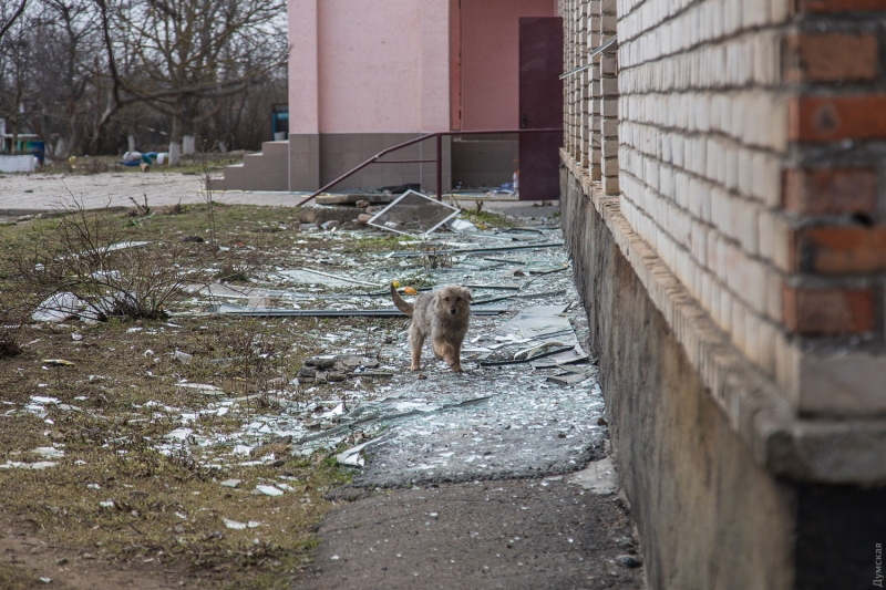 «Пох&#133й танки, мы с Баштанки!» и гимн второго взвода: что происходит на линии фронта в Николаевской и Херсонской областях  