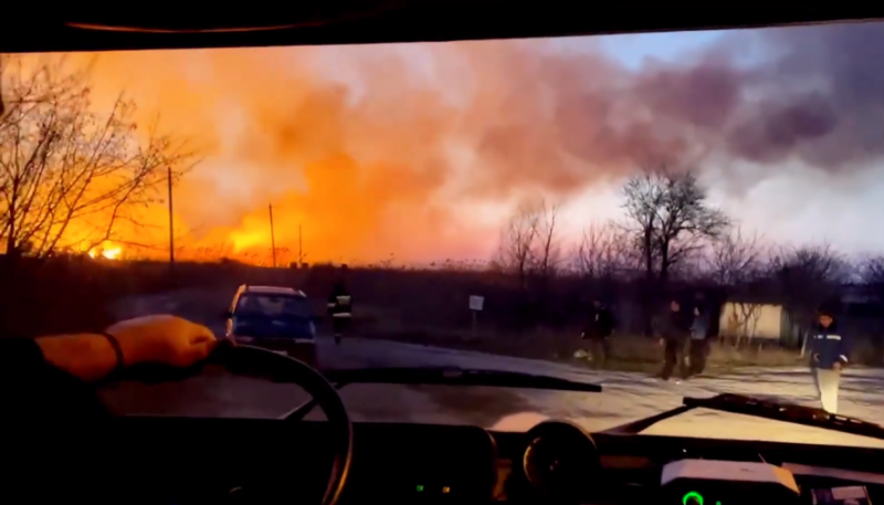 В Одеській області виникла лісова пожежа, - ФОТО, ВІДЕО 