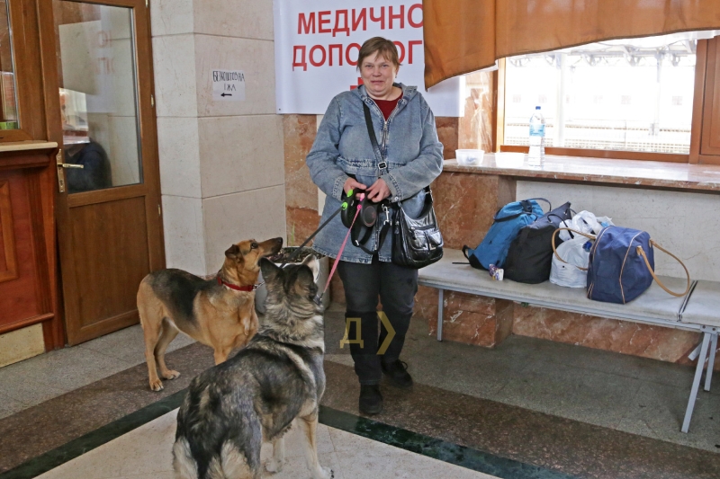 Деликатесы, зимние сапоги и жилье для животных: как в Закарпатье вынужденных переселенцев встречают  