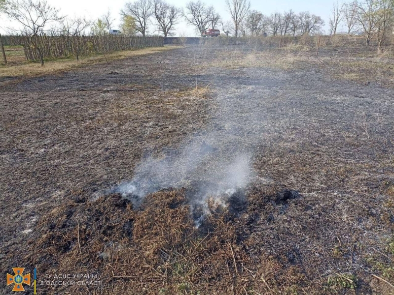 На Одещині жінка спричинила пожежу на площі 500 кв. метрів, - ФОТО