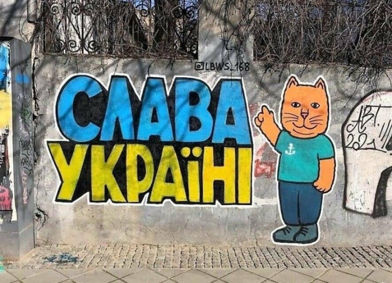 В Одесі з'явилися патріотичні котики,- ФОТО