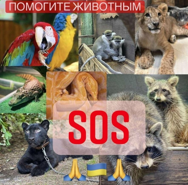 Друзі, просимо допомоги для зооцентру! Ми відповідаємо за тих, кого ми приручили.