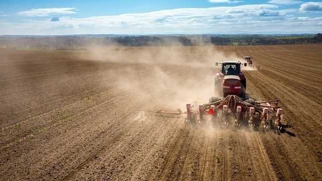 На Херсонщині окупанти відбирають у фермерів та вивозять в анексований Крим сільськогосподарську продукцію