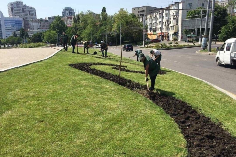 Агератум, тагетис, бегония: «Горзелентрест» создает новый лук площади Десятого апреля