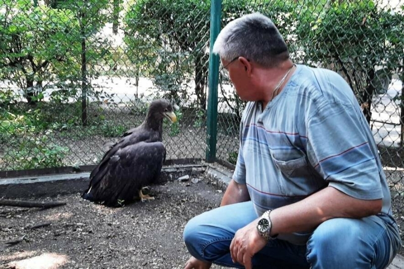 В Одесі поряд з будинком приземлився рідкісний птах, - ФОТО