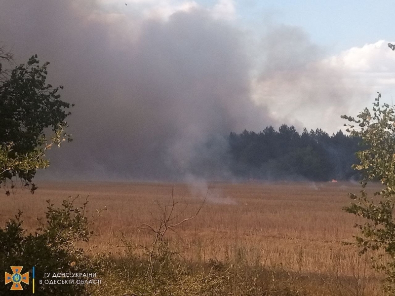 В Одеській області майже 20 годин гасили пожежу у лісі, - ФОТО