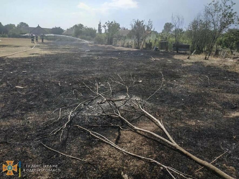 В Одеській області викрили двох паліїв сухої трави, які спричинили маштабні пожежі, - ФОТО