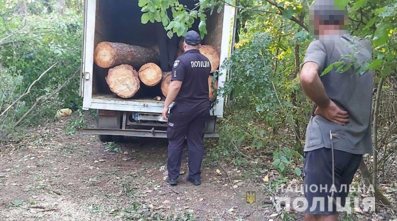 Завдав збитків майже на 120 тисяч грн: на Одещині чоловіка викрили у незаконній порубці дерев