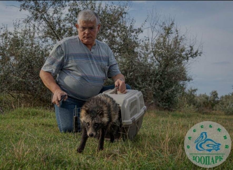 На Одещині повернули в дику природу врятованого працівниками ДСНС єнотоподібного собаку, - ФОТО