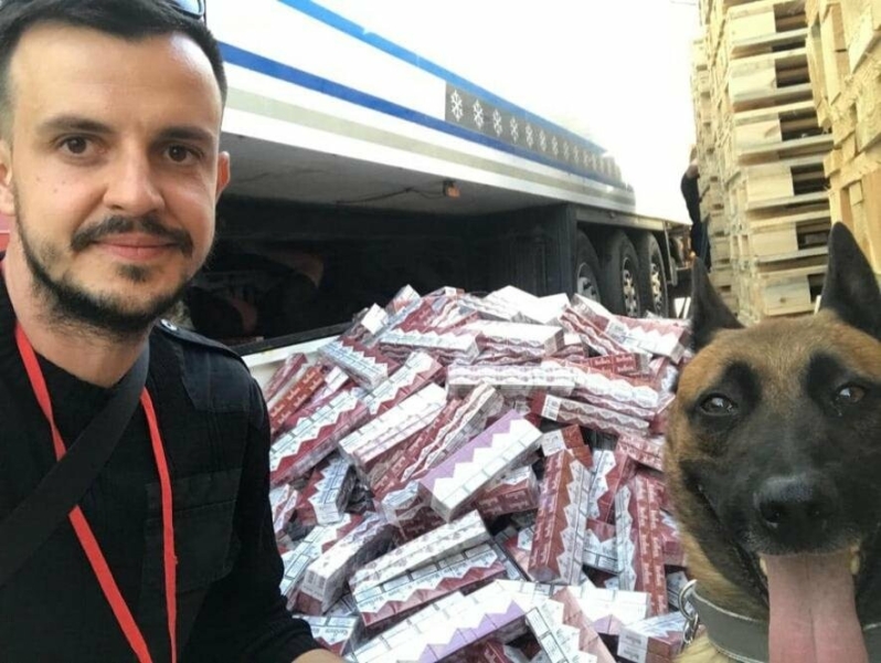 Одеські митники та службовий пес виявили 8 600 пачок «Marlboro», приховані у підлозі напівпричепу, - ФОТО