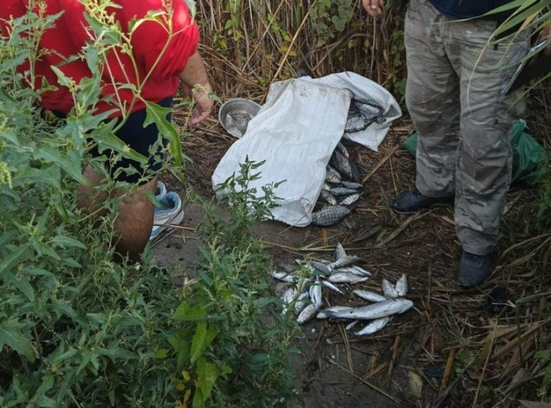 В Одеській області затримали браконьєрів та торговців раками та рибою,- ФОТО