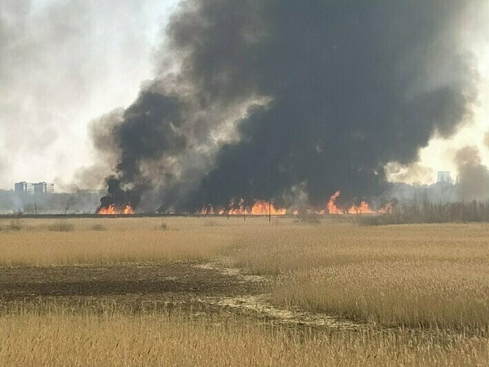 На Одещині горіло кукурудзяне поле 