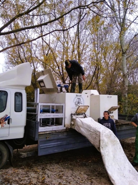 Хаджибейский и Днестровский лиман зарыбили более чем 11 тоннами мальков  