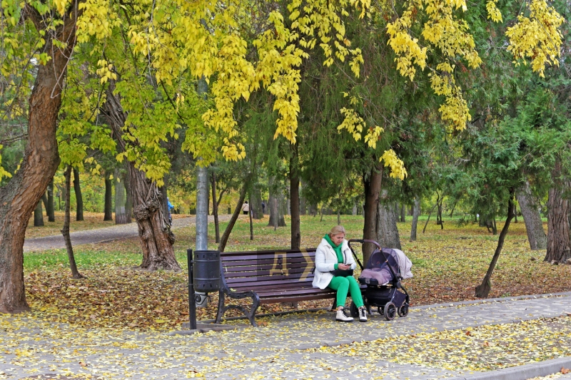 Яркие ковры в красно-желтых красках: одесситы провожают золотую осень (фотозарисовка)