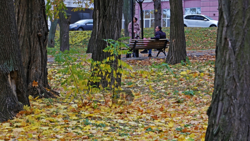 Яркие ковры в красно-желтых красках: одесситы провожают золотую осень (фотозарисовка)