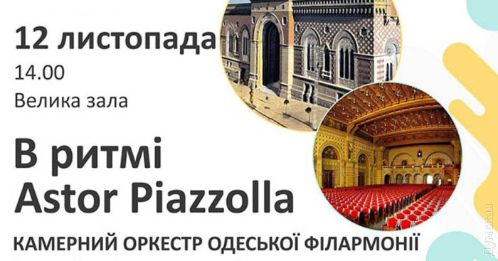 Куда пойти в Одессе: танцевальный марафон в Украинском театре, показ фильма про Донбасс и Чипполино в Музкомедии