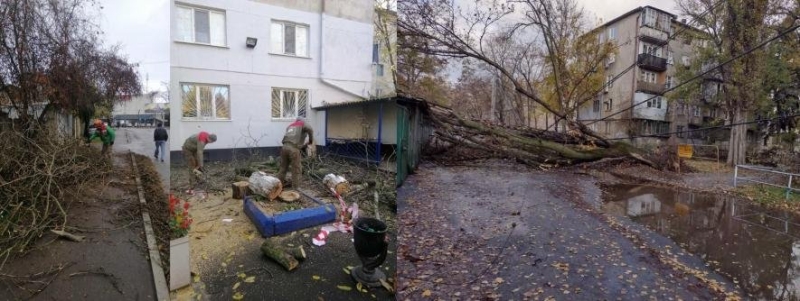 Наслідки негоди: в Одесі вітер повали п'ять дерев, - ФОТО 