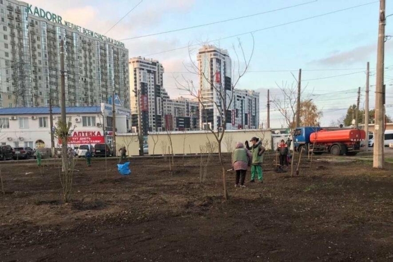 Сьогодні в Одесі посадили понад 60 дерев, - ФОТО