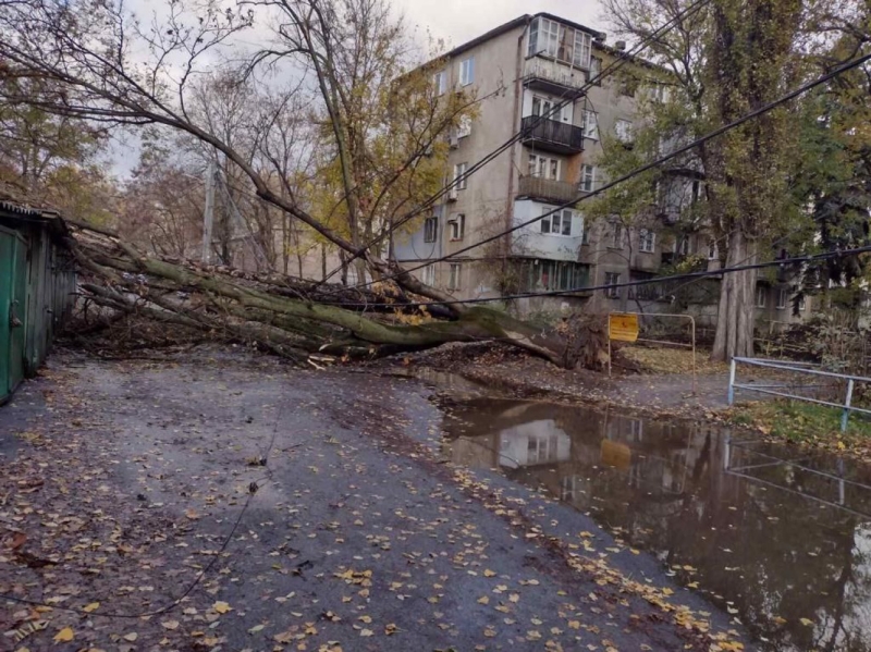 В Одессе непогода повалила деревья