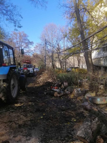 В Одессе непогода повалила деревья