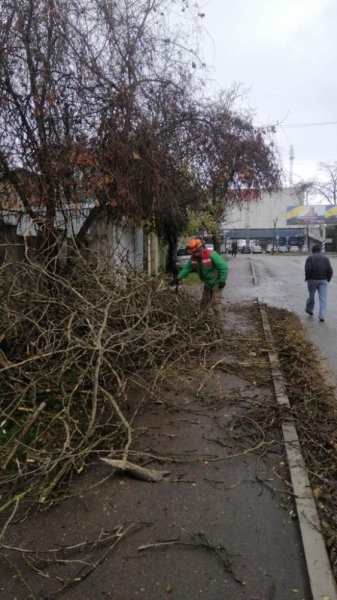 В Одессе непогода повалила деревья