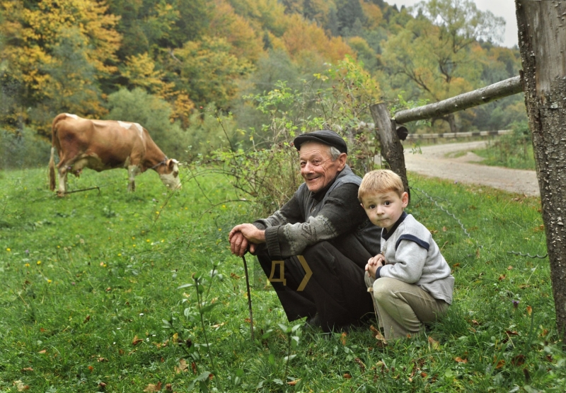 Котики, индейка, мечтательная свинка и ослик. Одесские фотохудожники запечатлели домашних животных  