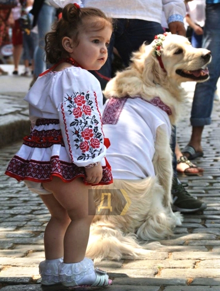 Котики, индейка, мечтательная свинка и ослик. Одесские фотохудожники запечатлели домашних животных  