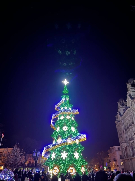 В центрі Одеси засяяла новорічна ялинка, - ФОТО