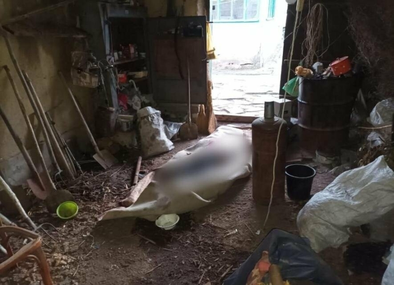 В Одеській області чоловік забив до смерті рідного брата та сховав тіло в гаражі