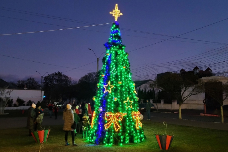 В Аккермане установили новогоднюю елку: решение приняли после соцопроса