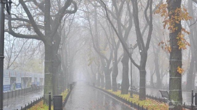 У понеділок в Одесі та області очікується туман и південний вітер