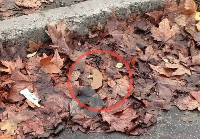 Российские оккупанты разбрасывали противопехотные мины на 6 улицах Херсона