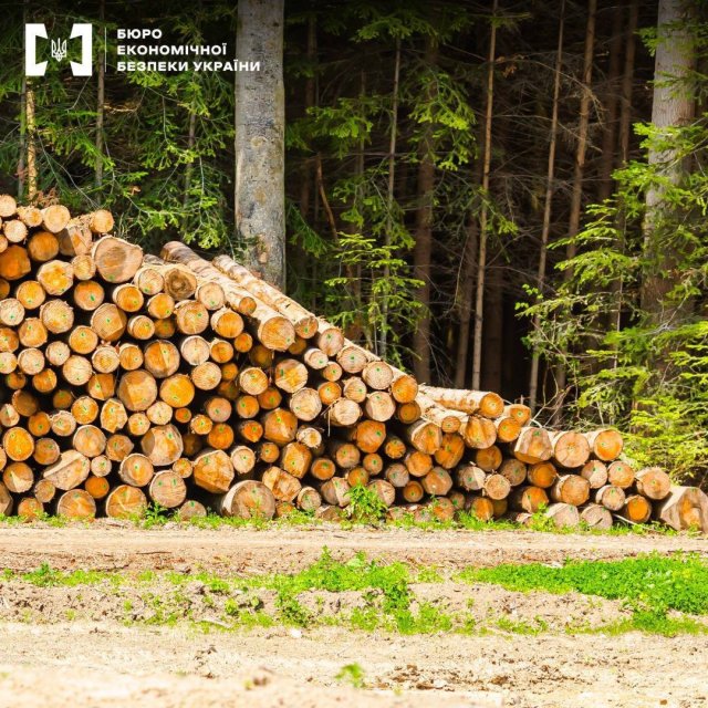 На Одещині викрили депутата Чернігівської області та двох його спільників під час спроби чергового експорту контрабандного лісу