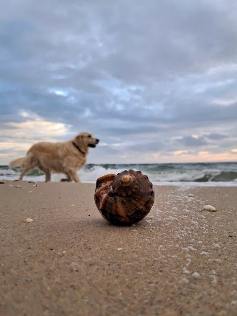 Яка буде погода в Одесі та області 9 грудня
