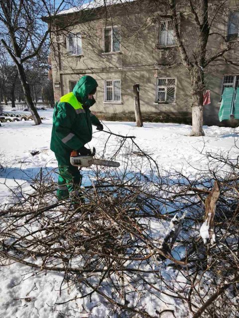 Через негоду в Одесі повалено 26 дерев та великих гілок