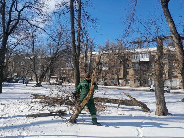 Через негоду в Одесі повалено 26 дерев та великих гілок